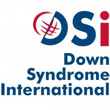 Logo DSi